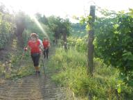 NORDIC WALKING CON PIZZA