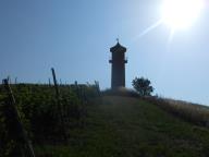 CAMMINATA ALLA TORRE DEI CONTINI