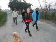 NORDIC WALKING SULLE COLLINE DI SAN MICHELE