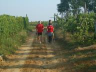 CAMMINATA NELLE CAMPAGNE DI INCISA