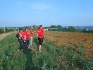 CAMMINATA NELLE CAMPAGNE DI INCISA