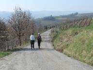 NORDIC WALKING DI BENESSERE