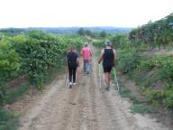 NORDIC WALKING SUI SENTIERI DI INCISA S.