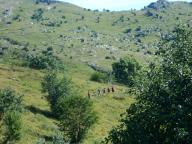 WEEK END DI NORDIC WALKING AL RIFUGIO