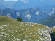 WEEK END DI NORDIC WALKING AL RIFUGIO