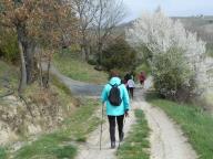 NORDIC WALKING SULLE COLLINE DI NIZZA - CALAMANDRANA