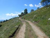 WEEK END DI NORDIC WALKING AL RIFUGIO