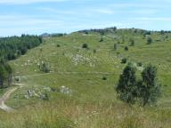 WEEK END DI NORDIC WALKING AL RIFUGIO