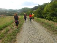 NORDIC WALKING AI CAFFI