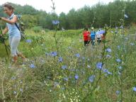 NORDIC WALKING NELLE CAMPAGNE DI INCISA