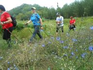 NORDIC WALKING NELLE CAMPAGNE DI INCISA