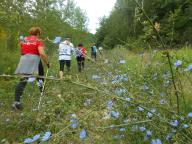 NORDIC WALKING NELLE CAMPAGNE DI INCISA