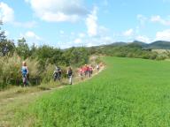 Ferragosto in Campeggio