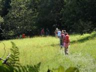 Ferragosto in Campeggio