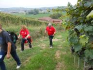 CAMMINATA PER LE COLLINE DI NIZZA M.