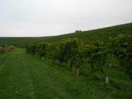 CAMMINATA PER LE COLLINE DI NIZZA M.