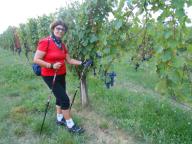 CAMMINATA PER LE COLLINE DI NIZZA M.