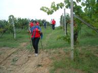 CAMMINATA PER LE COLLINE DI NIZZA M.