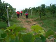 CAMMINATA PER LE COLLINE DI NIZZA M.