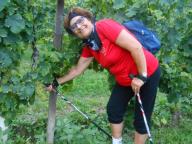 CAMMINATA PER LE COLLINE DI NIZZA M.