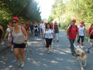 NORDIC WALKING A ROCCHETTA PALAFEA