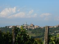 NORDIC WALKING A ROCCHETTA PALAFEA