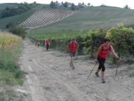 NORDIC WALKING A SCURZOLENGO