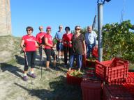 NORDIC WALKING TRA I VIGNETI DI CANELLI