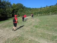 NORDIC WALKING TRA I VIGNETI DI CANELLI