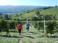 NORDIC WALKING TRA I VIGNETI DI CANELLI