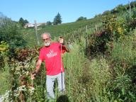 NORDIC WALKING TRA I VIGNETI DI CANELLI