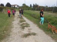 NORDIC WALKING A CALOSSO