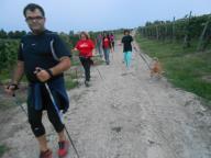 NORDIC WALKING A CALOSSO