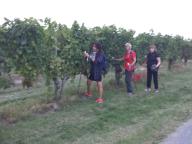 NORDIC WALKING TRA LE COLLINE DI NIZZA