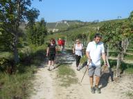 CAMMINATA TRA I VIGNETI DI CANELLI