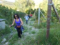 CAMMINATA TRA I VIGNETI DI CANELLI