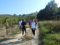 CAMMINATA TRA I VIGNETI DI CANELLI