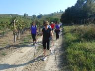 CAMMINATA TRA I VIGNETI DI CANELLI