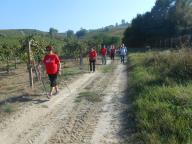 CAMMINATA TRA I VIGNETI DI CANELLI