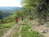 CAMMINATA TRA I VIGNETI DI CANELLI