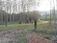 CAMMINATA IN NORDIC WALKING A CALAMANDRANA