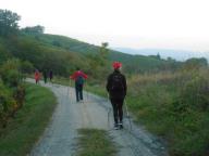 CAMMINATA IN NORDIC WALKING A CALAMANDRANA