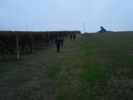 CAMMINATA AL CHIARO DI LUNA