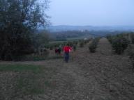 CAMMINATA AL CHIARO DI LUNA