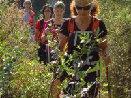 CAMMINATA PER I SENTIERI MEDIEVALI DI ANDORA