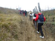 CAMMINATA IN NORDIC WALKING CON PAOLA