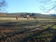 CAMMINATA DI NORDIC WALKING CON PAOLA