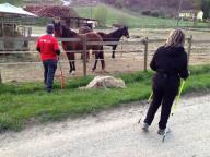 Camminata in tecnica nordic walking