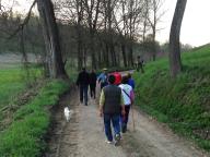 Camminata in tecnica nordic walking