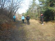 NORDIC WALKING AI CAFFI